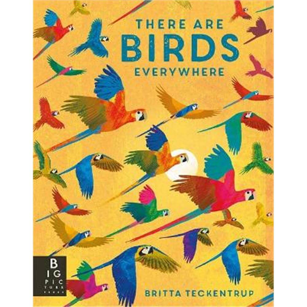 There are Birds Everywhere (Hardback) - Britta Teckentrup